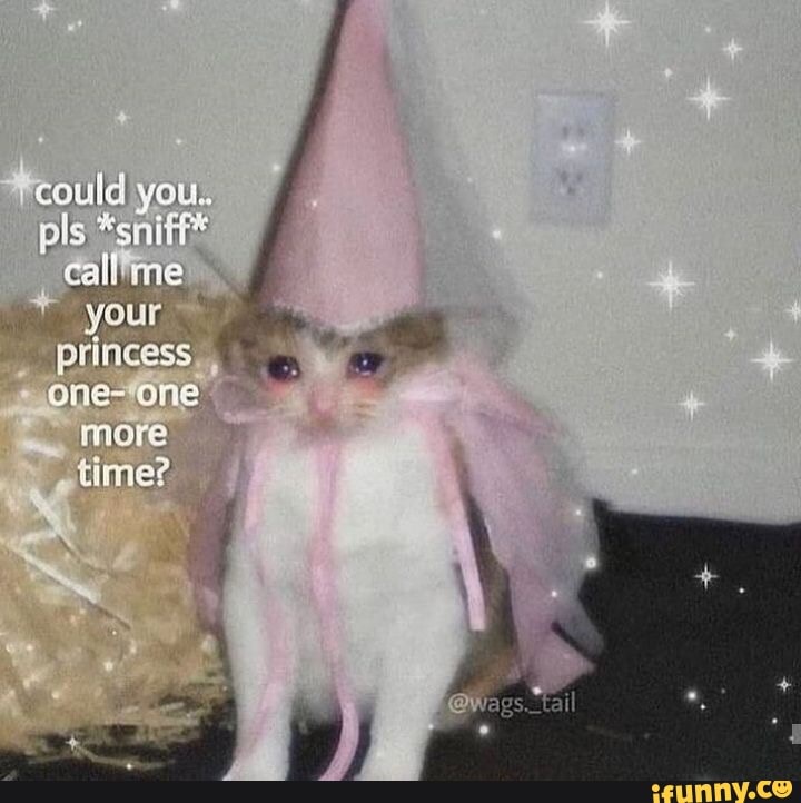 could you..
DIS eallhome princess one- one more
time?
@wegs.