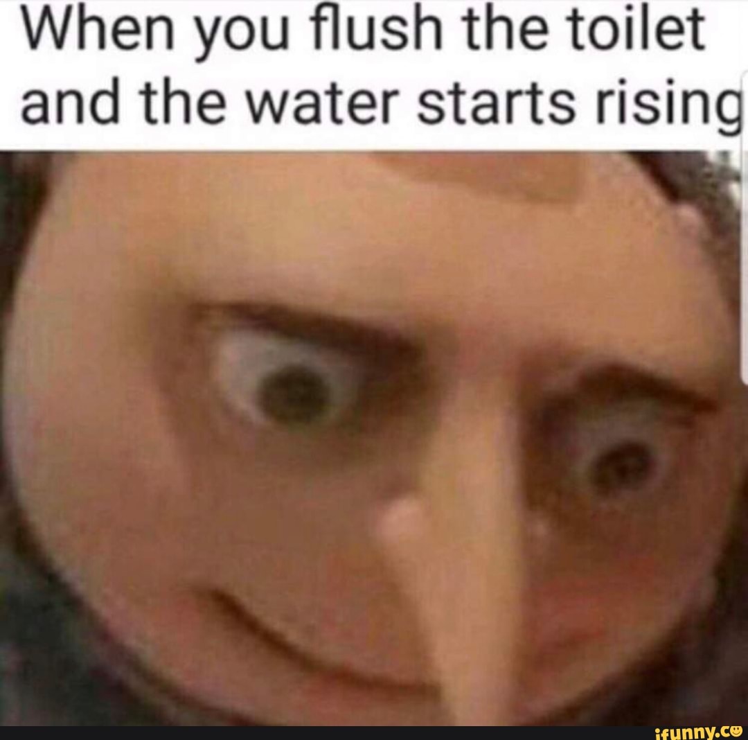 When You ﬂush The Toilet And The Water Starts Rising Ifunny