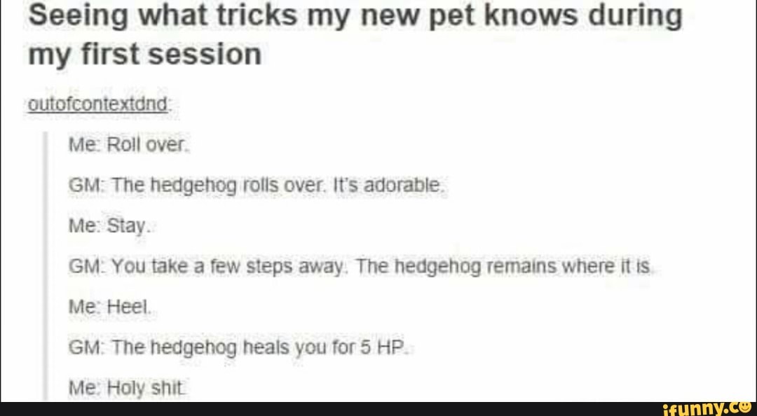 Seeing what tricks my new pet knows during
my first session
outofcomextdng.
Me: Roll over
GM' The hedgehog rolls over. It‘s adorable.
Me: Stay.
GM, You take a few steps away, The hedgehog remains where n rs
Me: Heel
GM' The hedgehog heals you for 5 HP
Me Holy shit
