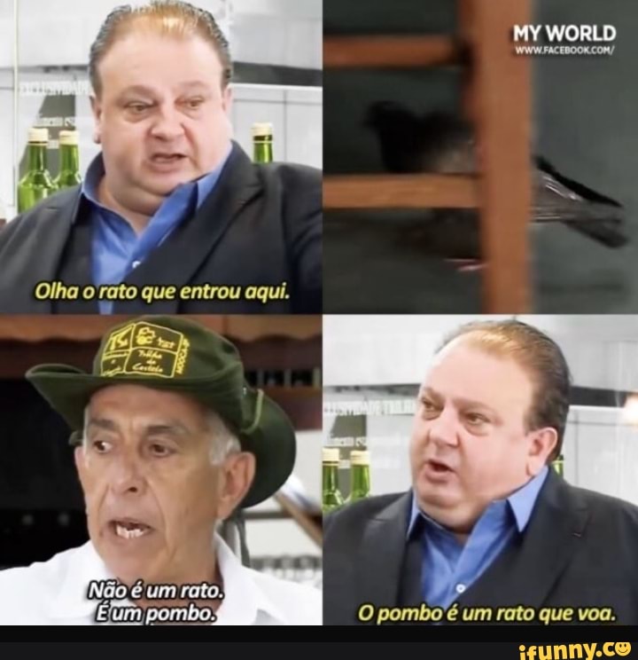 O pombo é um rato que voa.