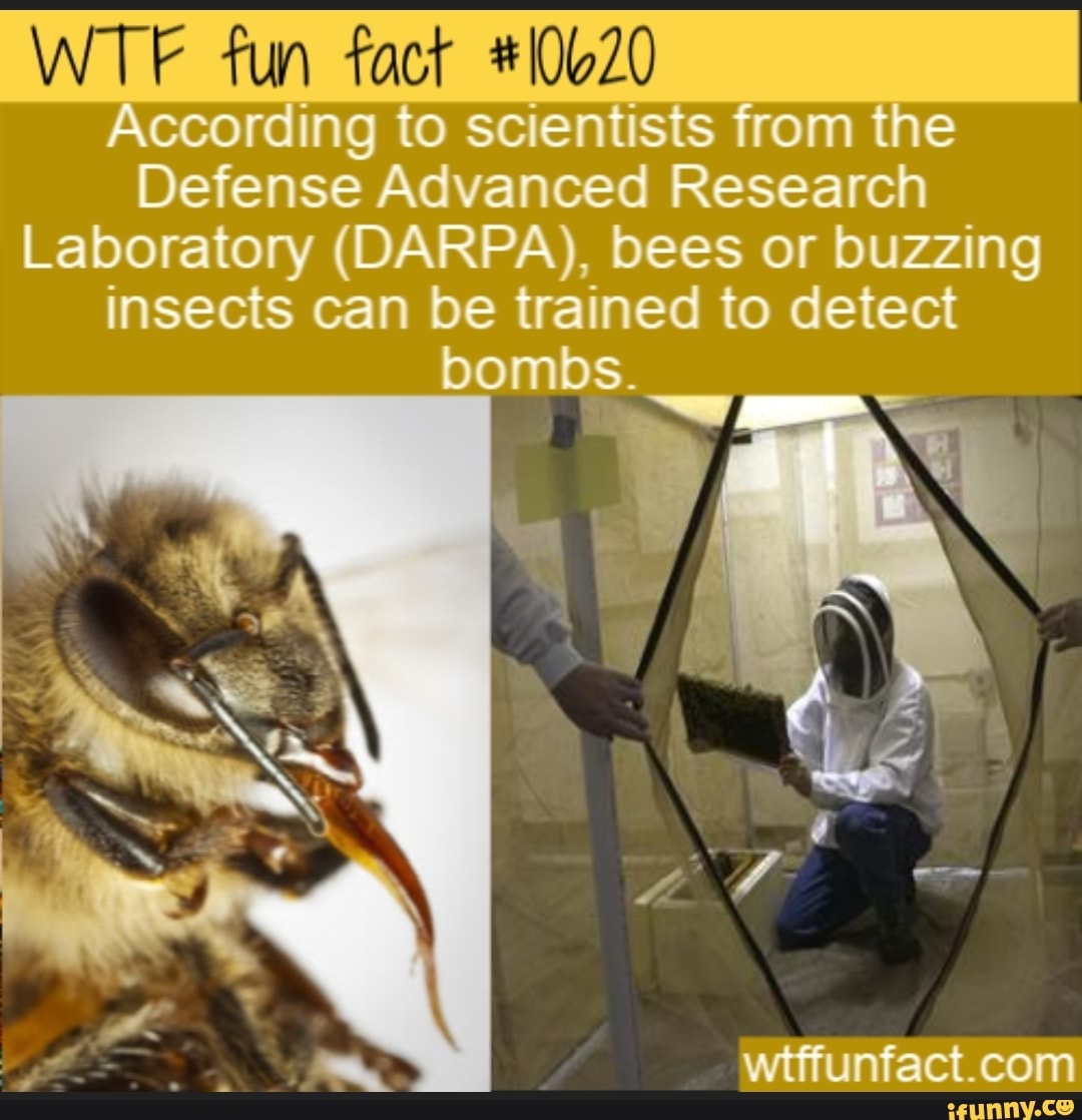 WTF Fun Fact #10620 According To Scientists From The Defense Advanced ...