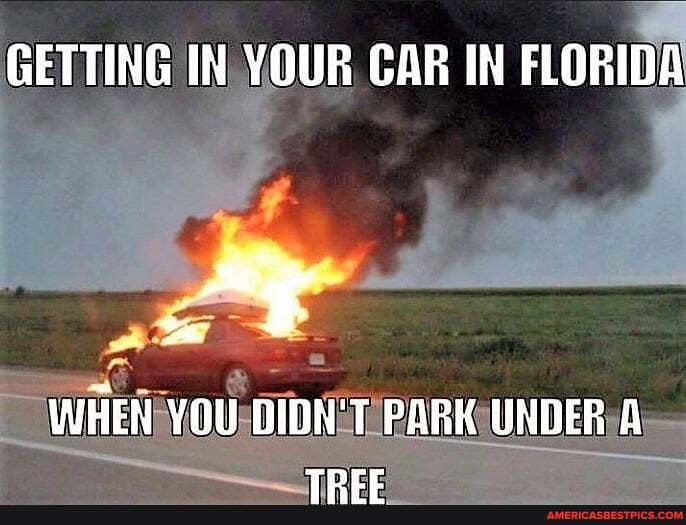 GETTING IN YOUR CAR IN FLORIDA
WHEN YOU DIDN'T PARK UNDER A
TOr