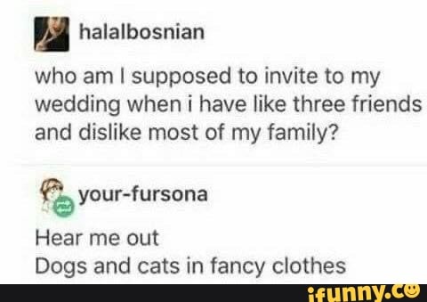 who am I supposed to invite to my
wedding when i have like three friends
and dislike most of my family?
2 your-fursona
Hear me out
Dogs and cats in fancy clothes