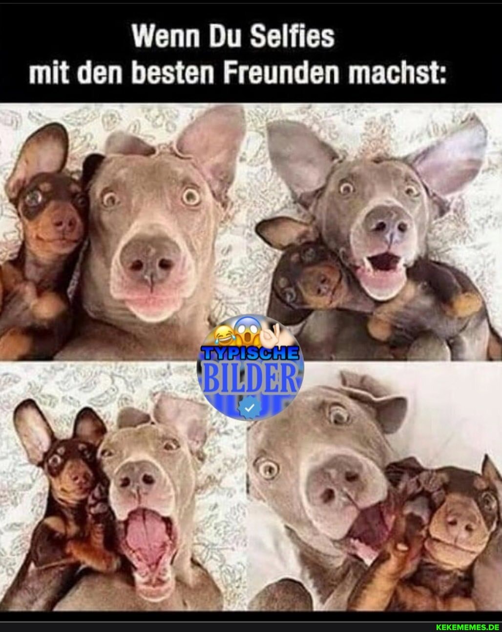 Wenn Du Selfies mit den besten Freunden machst:
Ir