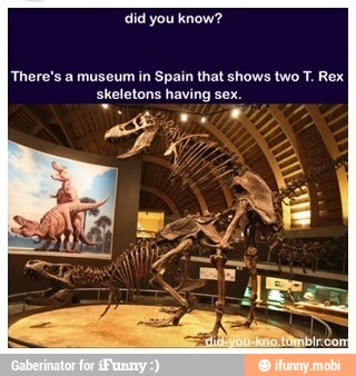 "There's a museum in Spain that shows two T. Rex
skeletons having sex.