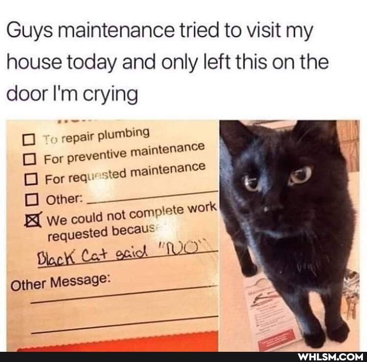 uys maintenance tried to visit my use today and only left this on th
door I'm crying
repair plumbing
For preventive maintenance
For req sted maintenance
Other: we could not complete work requested becaus
Cock
Other Message-