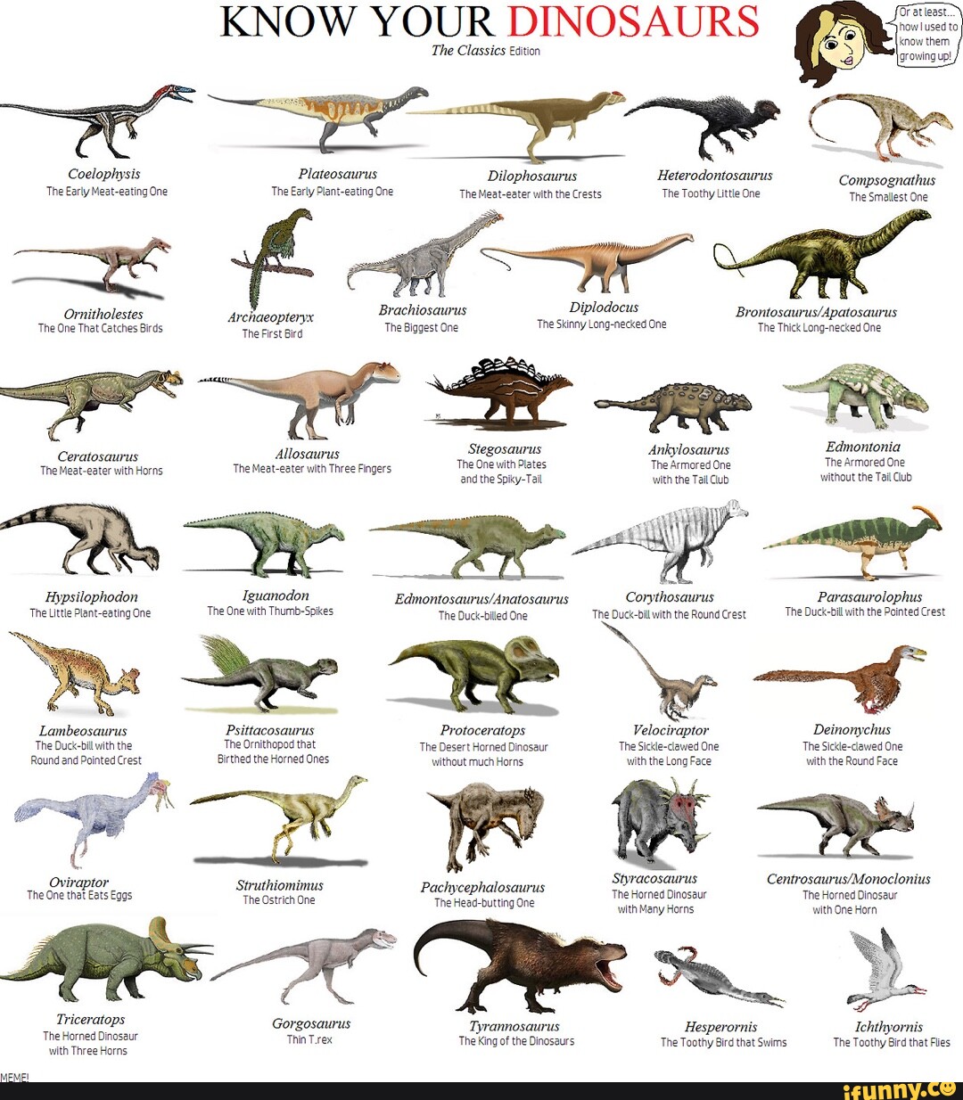 KNOW YOUR DINOSAURS The Classics Edition Coelophysis Plateosaurus ...