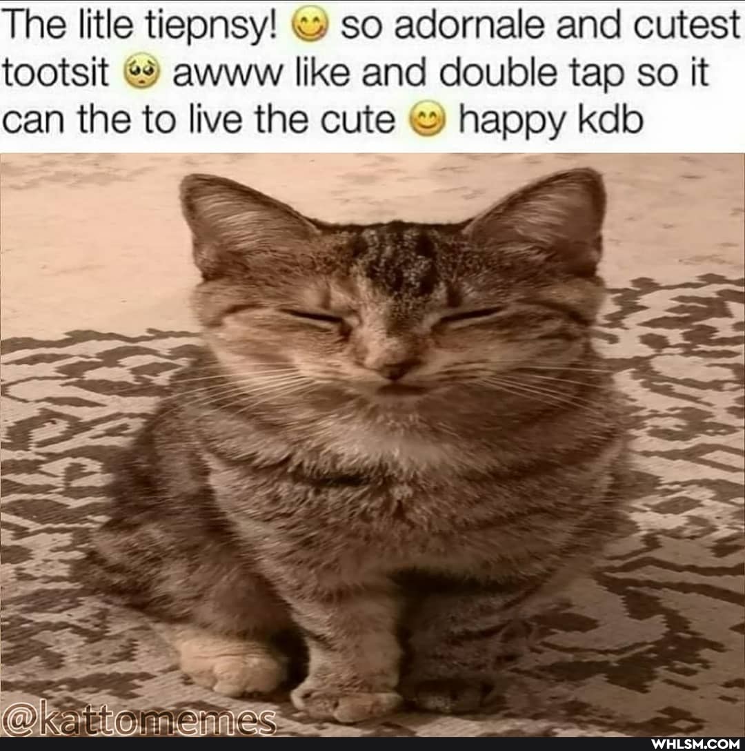 The litle tiepnsy! so adornale and cutest tootsit awww like and double tap so it can the to live the cute happy kdb
ES