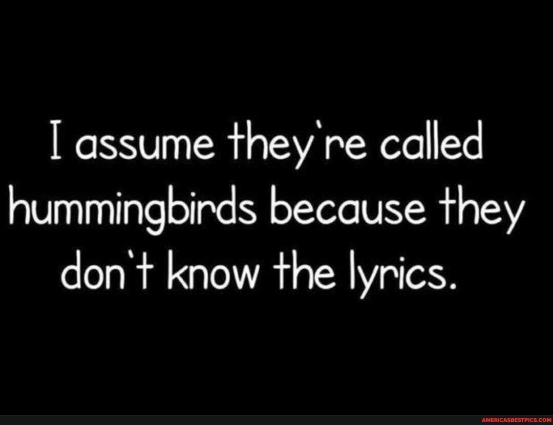 I assume they re called hummingbirds because they don t know the lyrics.