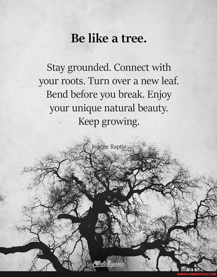 Be Like A Tree Stay Grounded Connect With Your Roots Turn Over A New Leaf Bend Before You 7588