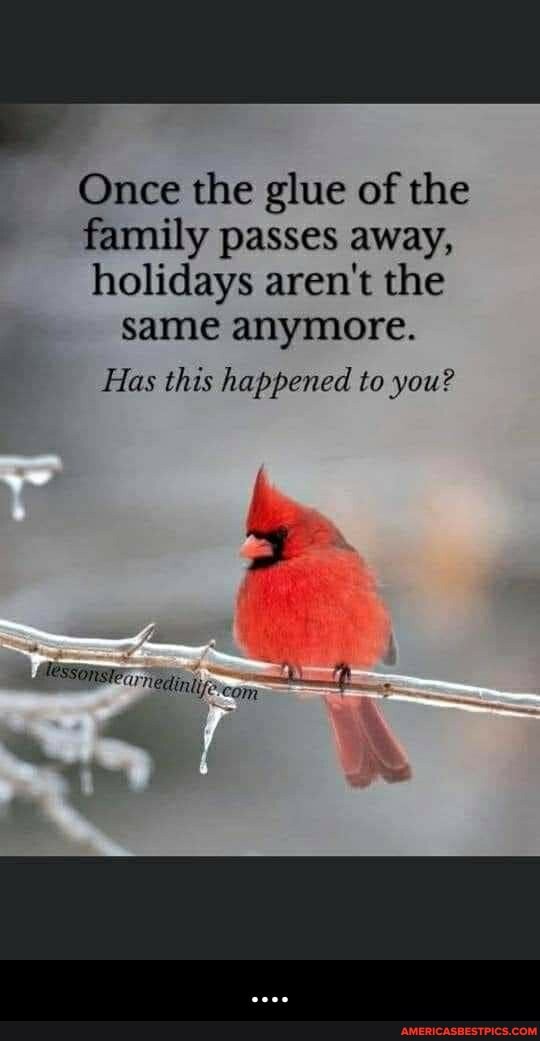Once the glue of the
family passes away,
holidays aren't the same anymore.
Has this happened to you?
Nedinit. cam - ....