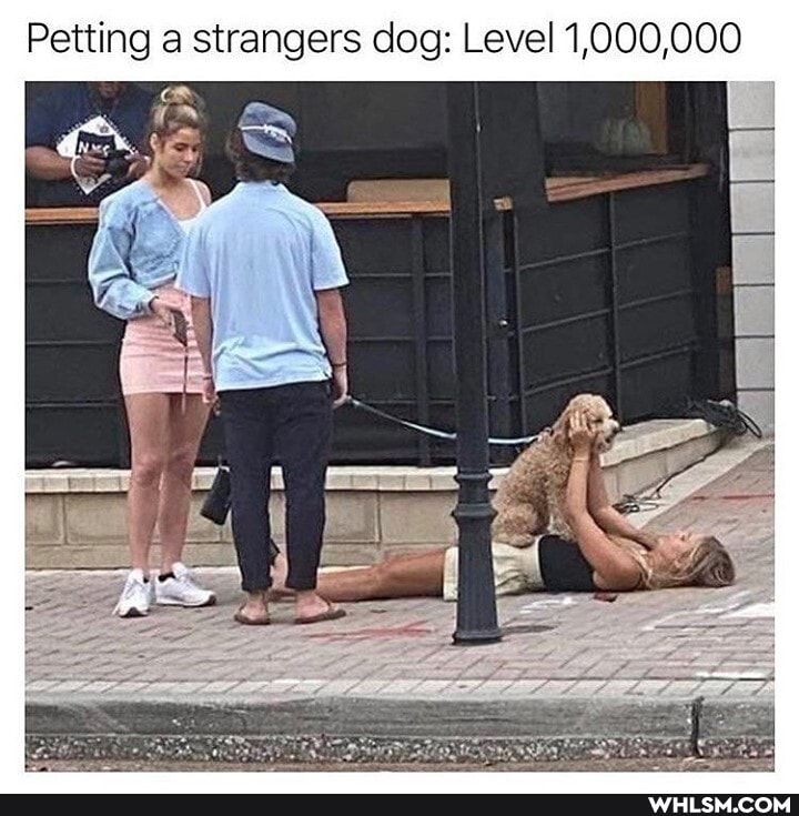 Petting a. strangers dog: Level 1,000,000