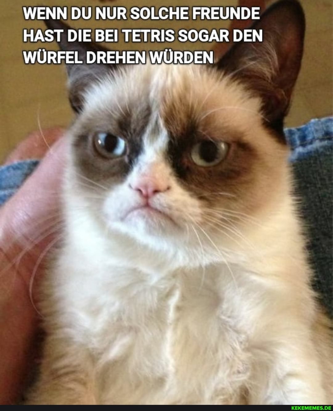 WENN DU NUR SOLCHE FREUNDE HAST DIE BEI TETRIS SOGAR DEN
WÜRFEL DREHEN WÜRDEN