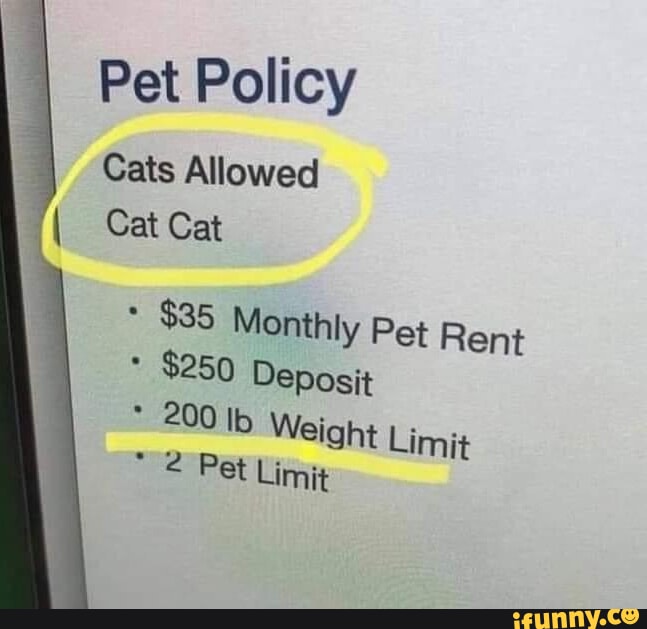 Video memes d5czJUE1B by Ezekiel2and3 iFunny