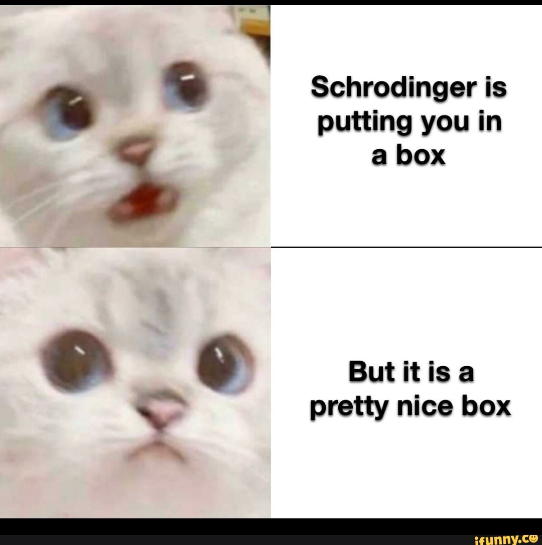 Schrodinger is putting you in a box But is a pretty nice box - iFunny