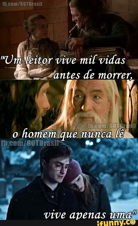 vive avenas um