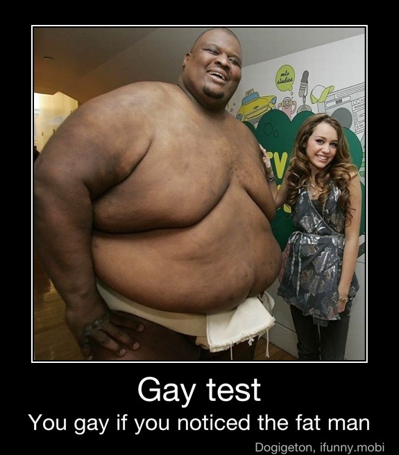 Are you gay picture test