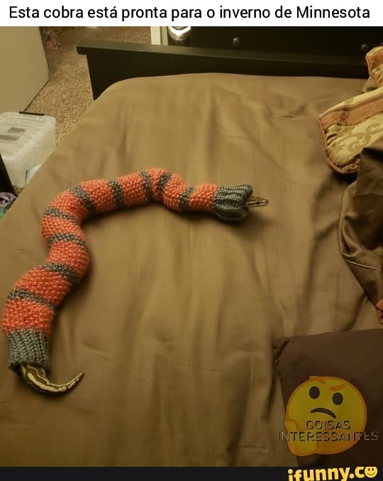 Esta cobra está pronta para o inverno de Minnesota