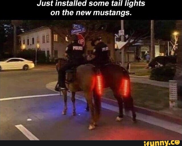 police horse tail lights