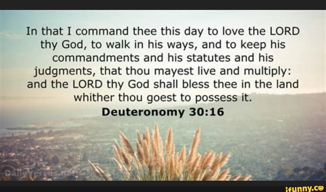 In that I command thee this day to love the LORD thy God, to walk in