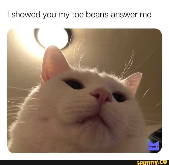 I showed you my toe beans answer me.