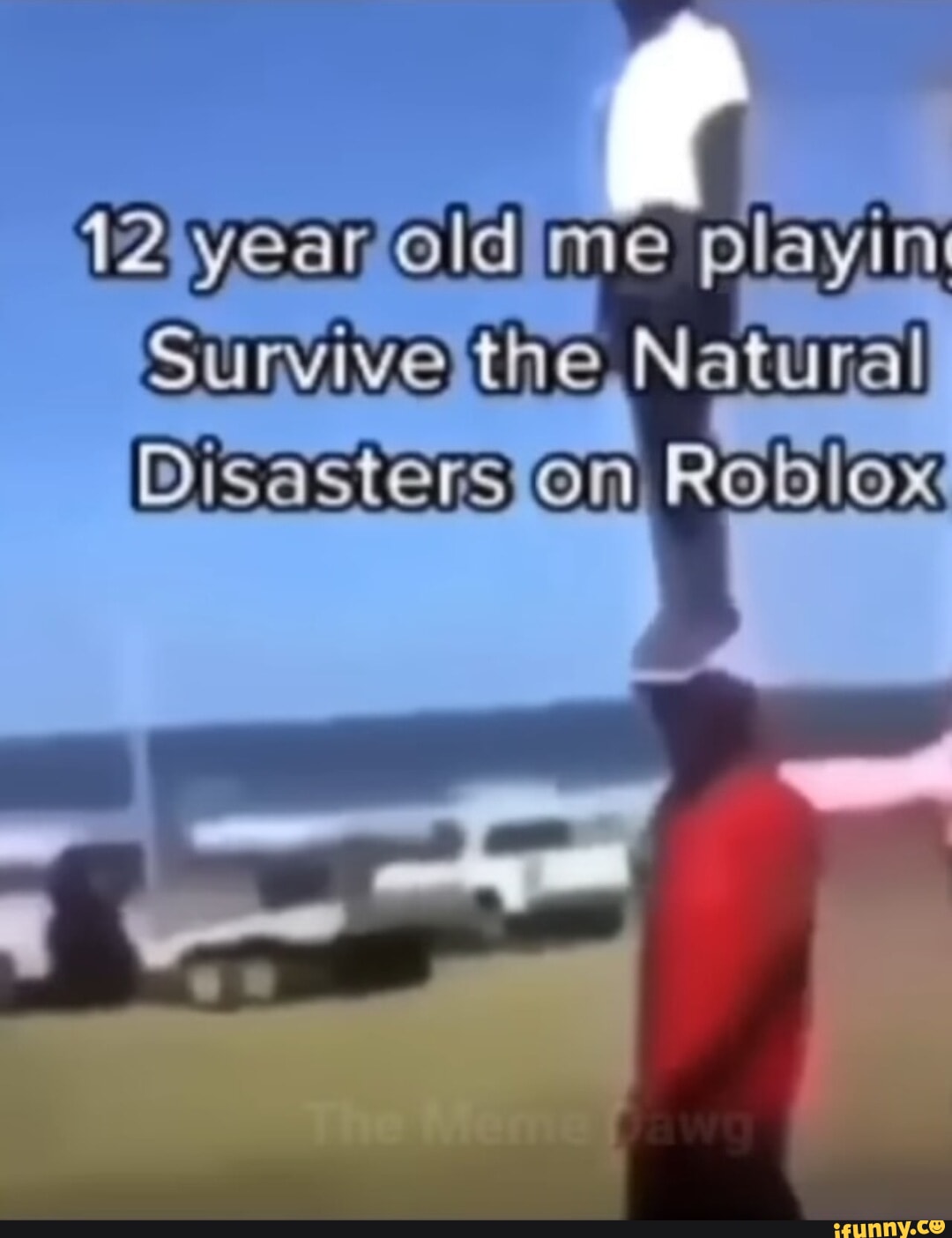 {2 year old me playin Survive tae Natural Disasters on Robiox iFunny