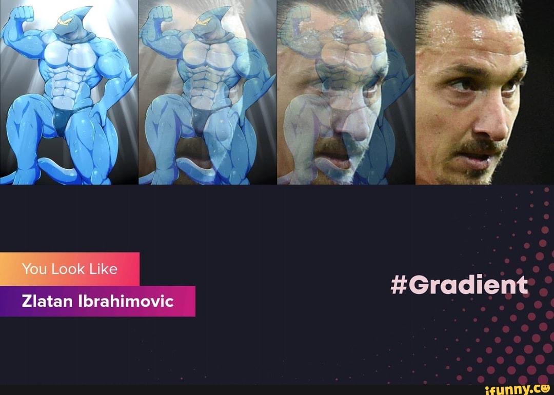 gradient, funny, sharks, furry, zlatan, why, looking, football