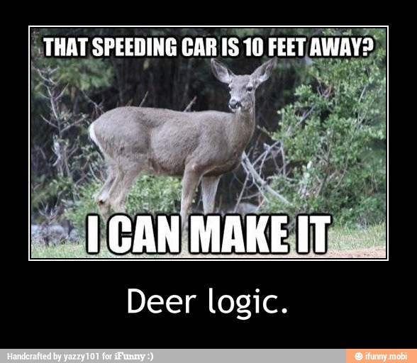 Deer logic. - Deer logic.