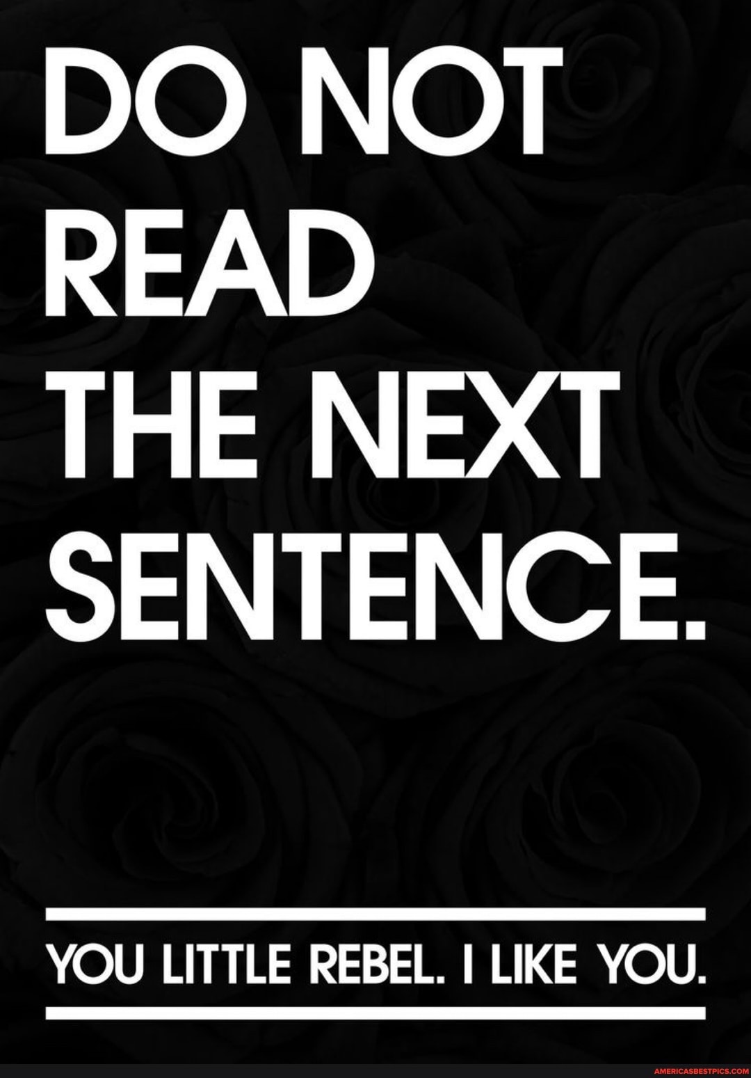 DO NOT READ
THE NEXT SENTENCE.
YOU LITTLE REBEL. I LIKE YOU.