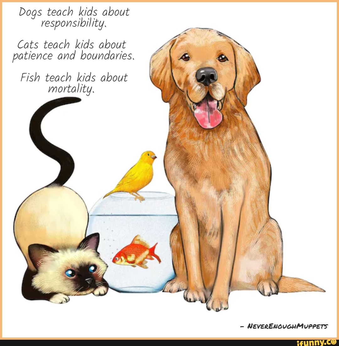 how-do-dogs-teach-responsibility