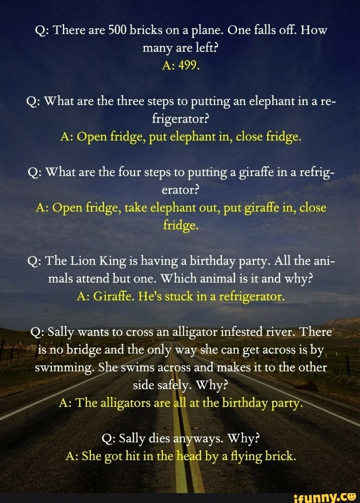 Q: There are 500 bricks on a plane. One falls off. How left? Q: What