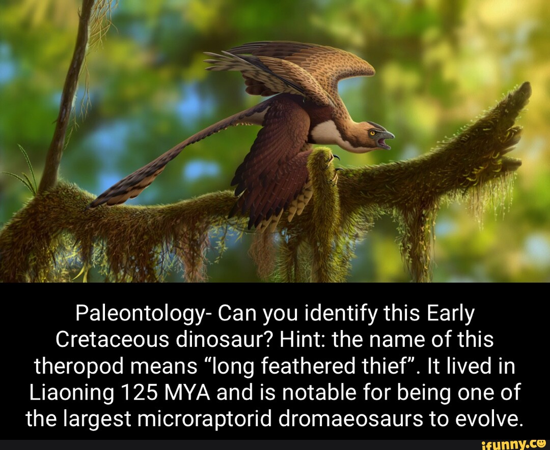 Paleontology- Can you identify this Early Cretaceous dinosaur? Hint ...