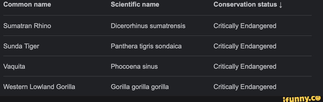Common name Sumatran Rhino Sunda Tiger Vaquita Western Lowland Gorilla