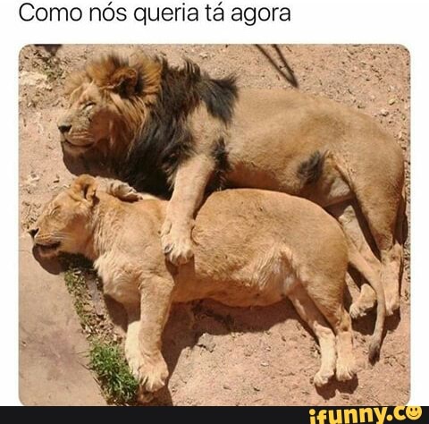 Como nós queria tá agora