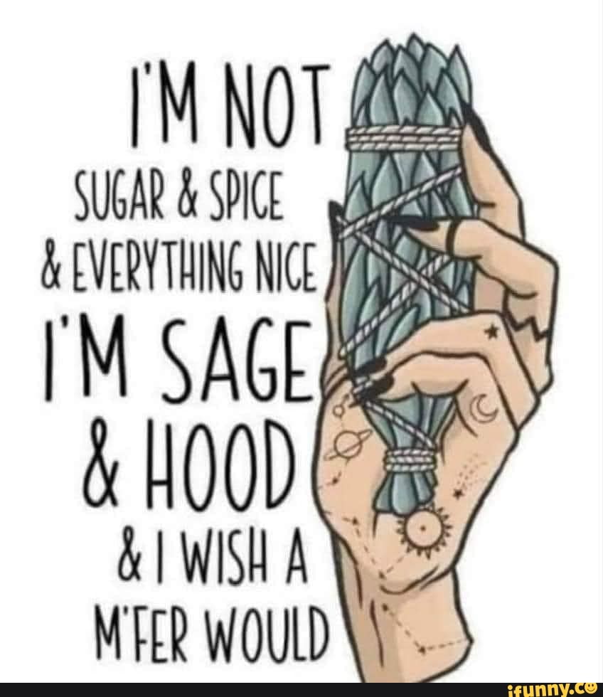 NOT EVERYTHING NC IM SAGE HOOD WiH AY MFER WOULD iFunny