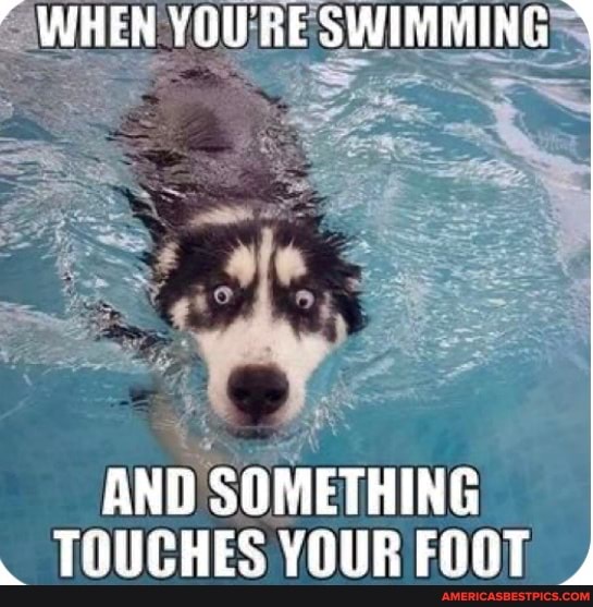 WHEN YOURE SWIMMING
AND SOMETHING TOUCHES YOUR FOOT