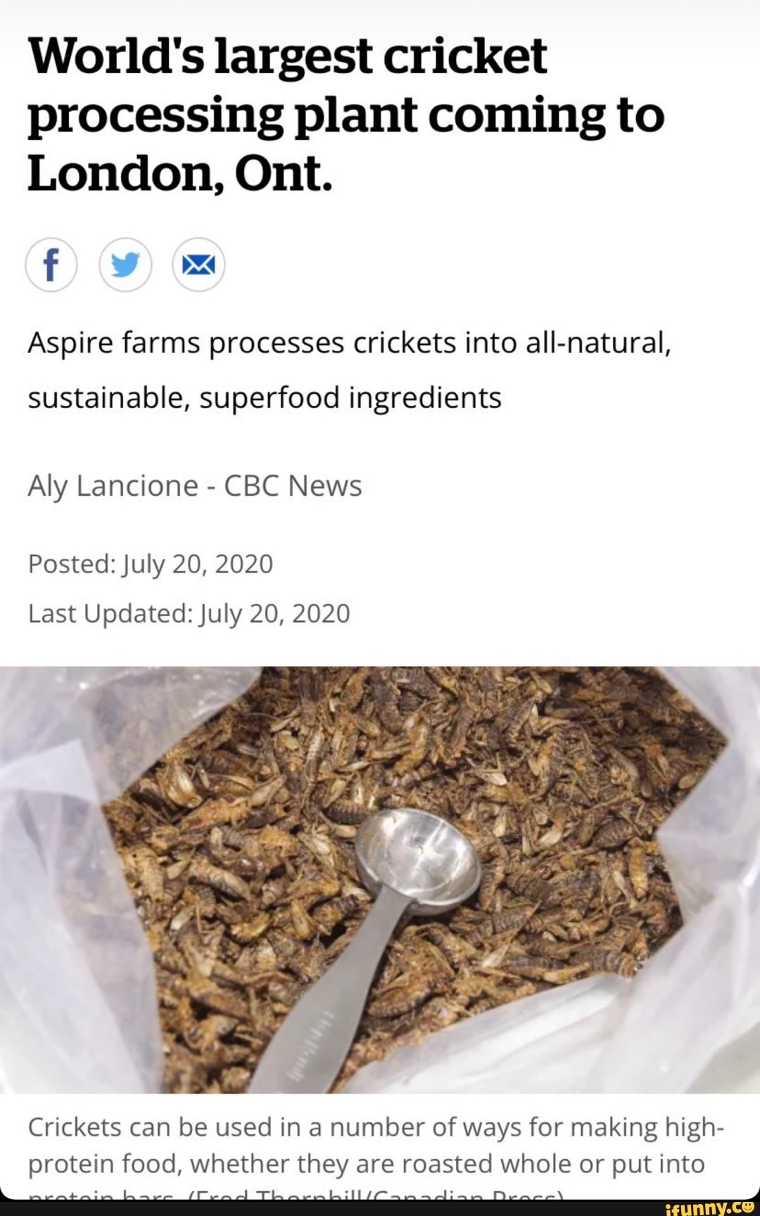 World's largest cricket processing plant coming to London, Ont. f) (WW