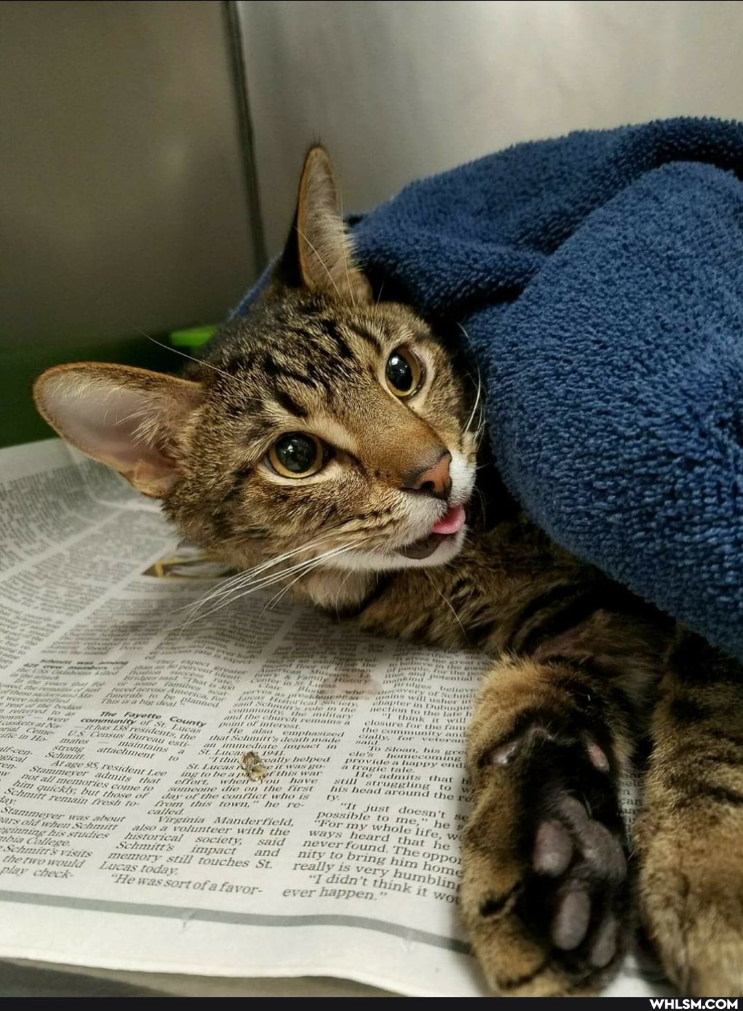 the
'Te just doesn, vible t
tteld, For my who,
he le Lite,