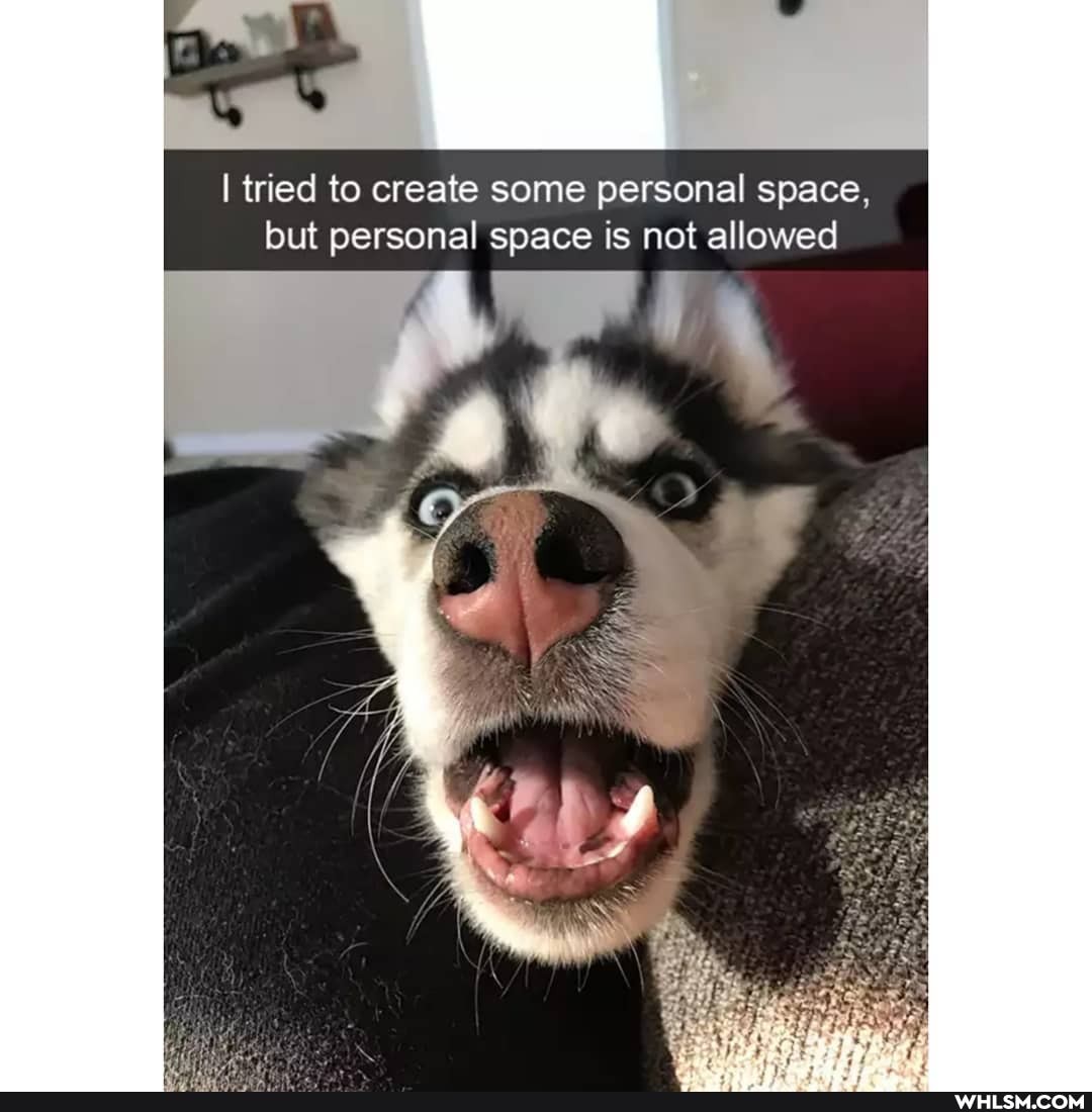 I tried to create some personal space, but personal space is not allowed