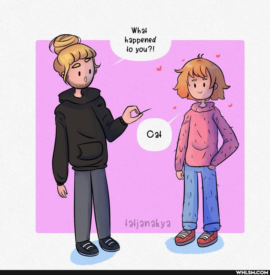 What happened to you?!
{atjanakya