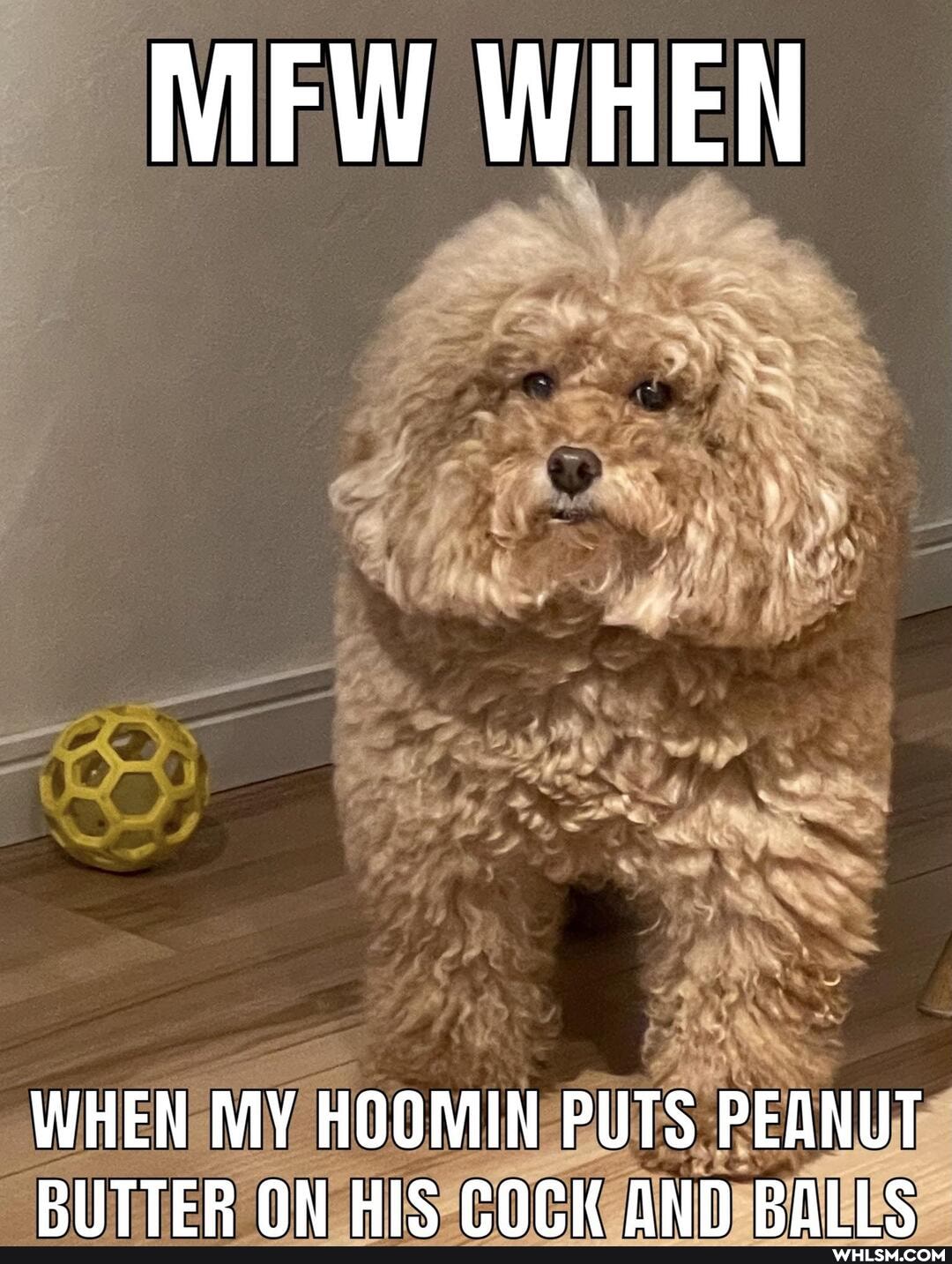 MFW WHEN
WHEN MY HOOMIN PUTS PEANUT RITTER ON HIS ANN ROIS