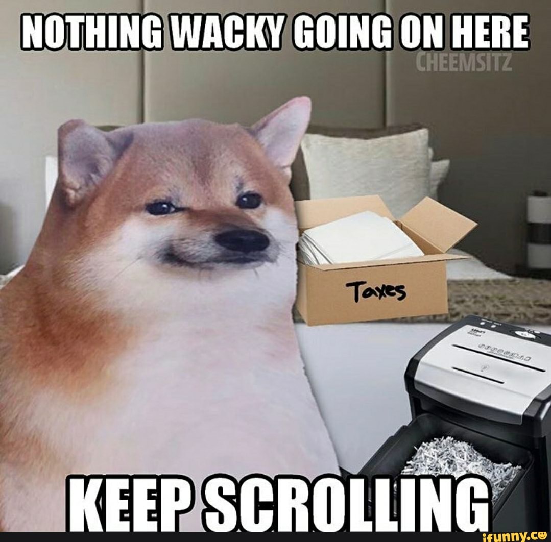 WACKY, GOING ON HERE