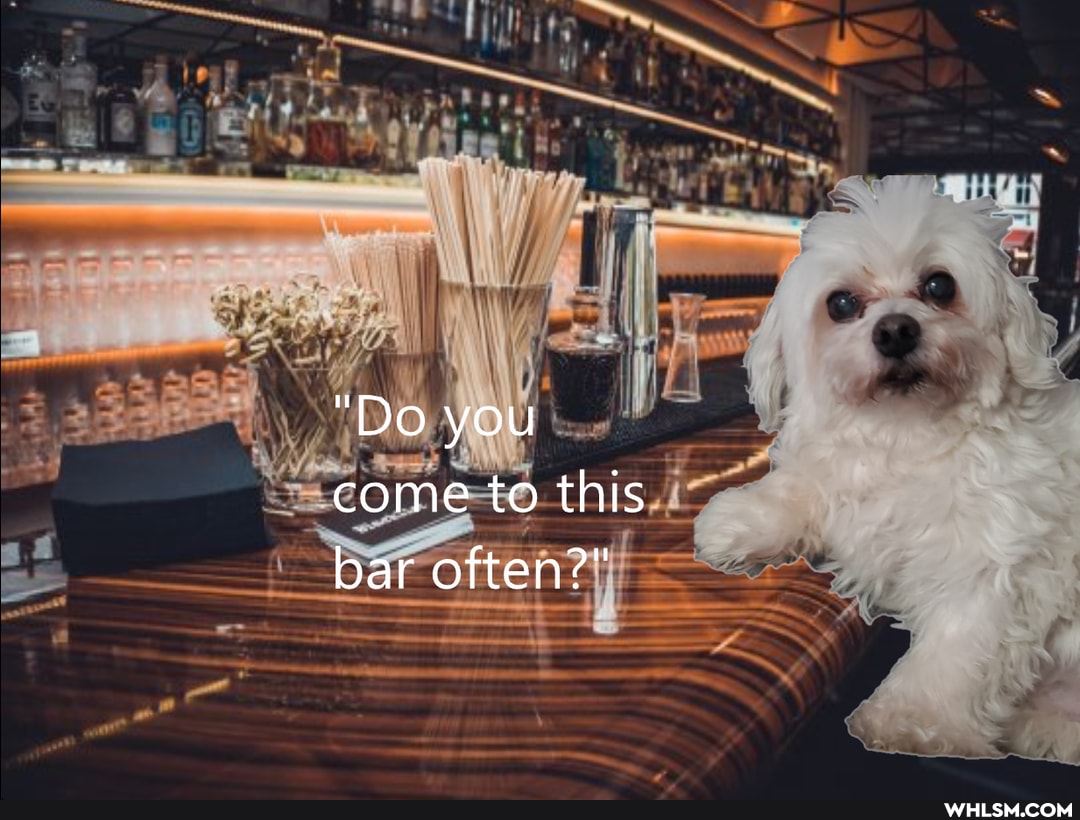 "Do you come to this bar often?"