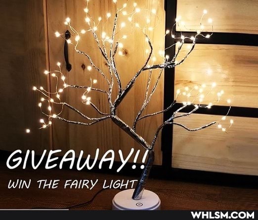 GIVEAWAY!
WIN THE FAIRY LIGHT