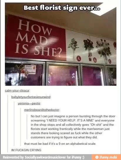 Best florist sign ever.
No but can just imagine a person buesting through the door
'screaming "INEED YOUR HELP. IT'S A NINE" and everyone
in the shop stops and all colectvely goes "Oh shit" and the.
florists start working frantcaly while the mantwoman just
stands there looking scared as fuck while the other
customers are trying to figure out what they di
that must be bad ifs
a
9 on an alphabetical scale
IM FUCKGIN CRYING