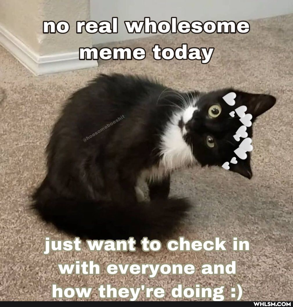 no real wholesome meme today
just want to check in with everyone and haw thawv'ra dainc