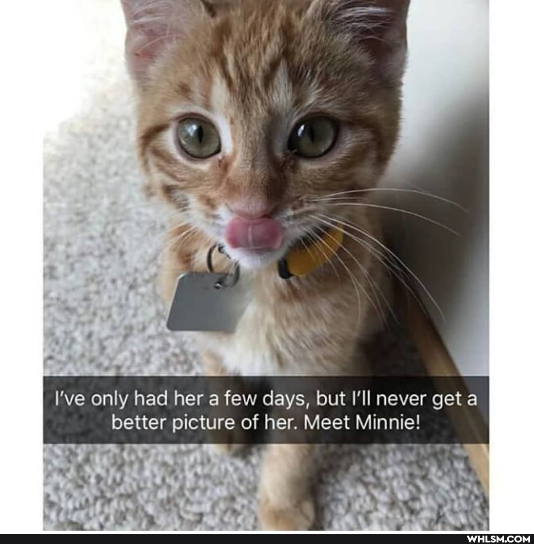 only had her few days, but I'll never get a better picture of her. Meet Minnie!