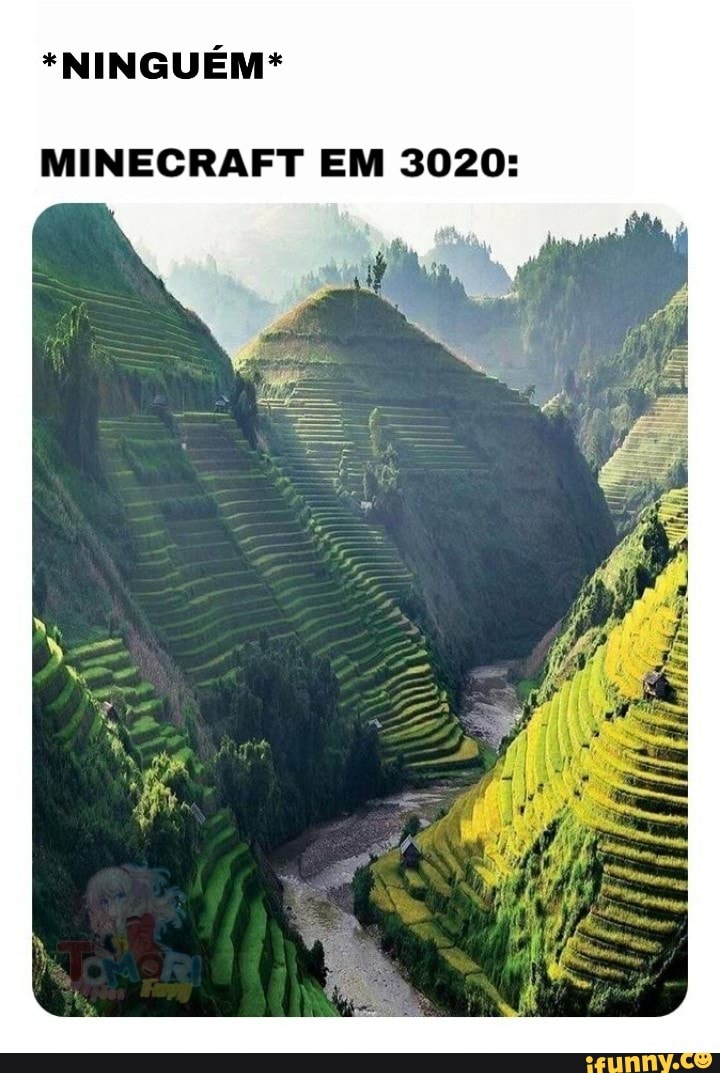 *NINGUÉM*
MINECRAFT EM 3020: