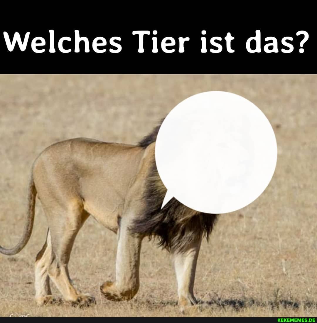 Welches Tier ist das?