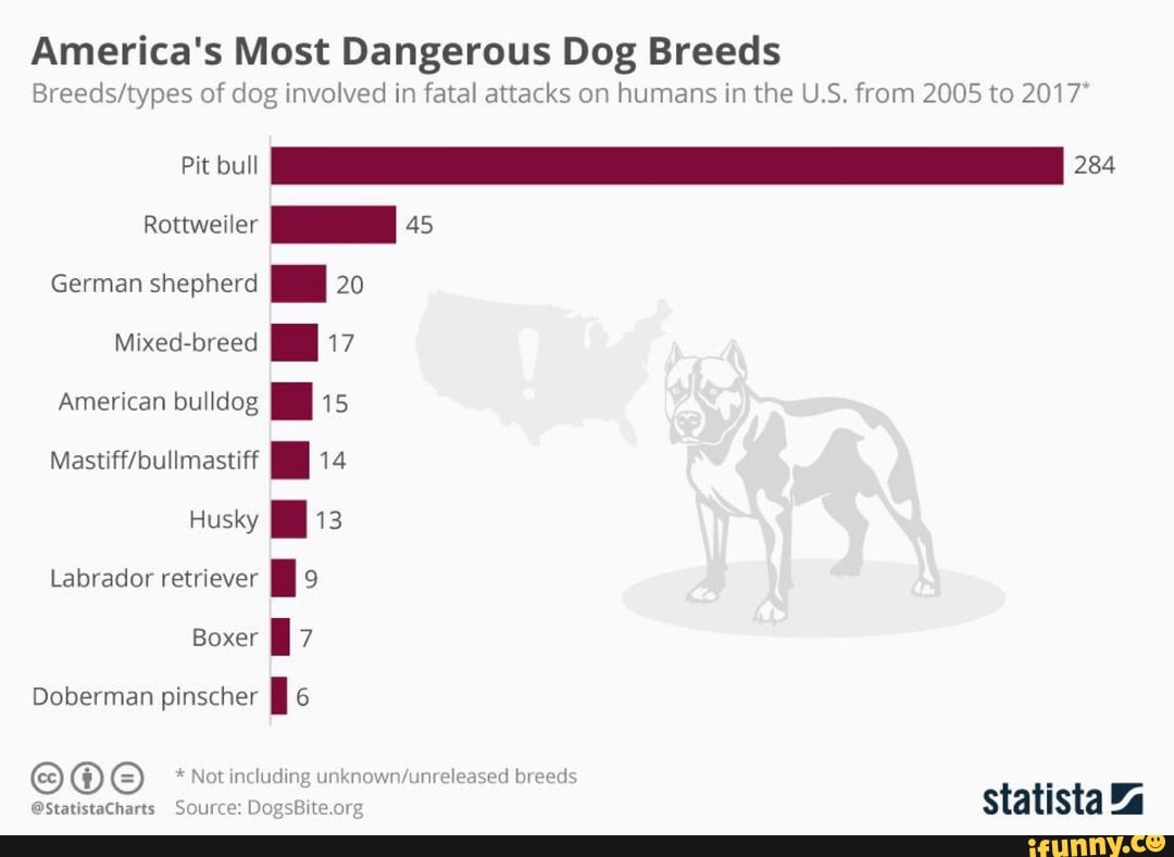America's Most Dangerous Dog Breeds
Breeds/types of dog ”wowed in fatal attacks on humans In Lhe U S. from 2005 [o 2017
Rottweiler
I 45
German shepherd . 20
Mixed-breed . ‘17
American bquog I 15
Masumbuumastiff
I 14
Husky I ‘13
Labrador retriever
I 9
Boxer
I 7
Doberman pinscher I 6